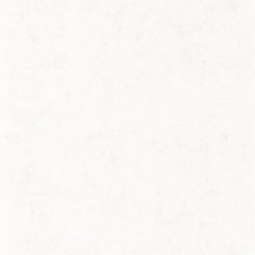 Обои Caselio Beton 101480000