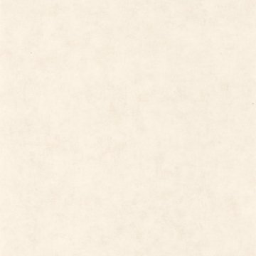 Обои Caselio Beton 101480010