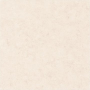 Обои Caselio Beton 101481002