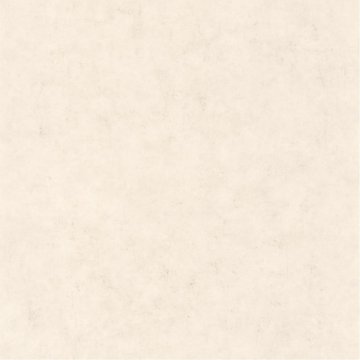 Обои Caselio Beton 101481258