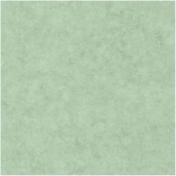 Обои Caselio Beton 101487516