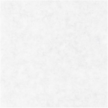 Обои Caselio Beton 101489000