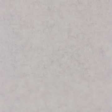 Обои Caselio Beton 101489460