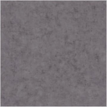 Обои Caselio Beton 101489779