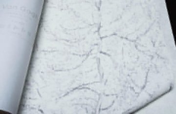 Обои BN Van Gogh BN 17163