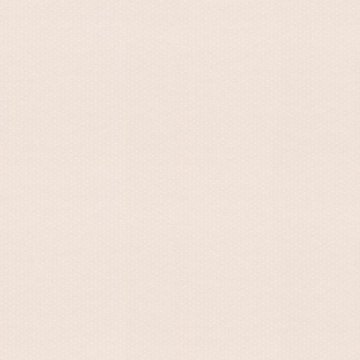 Обои Rasch Textil Petite Fleur 4 288857