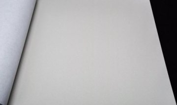 Обои AS Creation Dream Again 36504-3