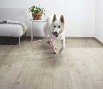 Замковый виниловый пол Quick-Step Pulse Click PUCL40105 Дуб хлопковый светло-серый