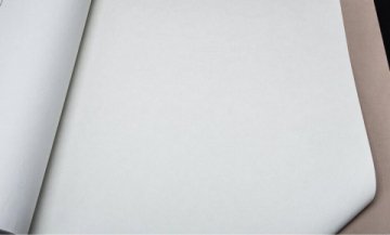 Обои BN Tailor BN 4249351