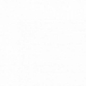 Обои Erismann RU Light 1 4556-4