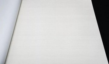 Обои Rasch Mandalay 528800
