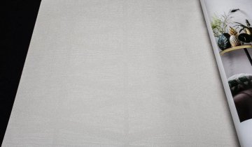 Обои Rasch Berlin 529814