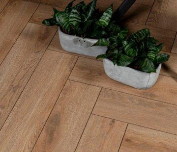 Ламинат Alsafloor Herringbone 12.0 535 Дуб Пралин