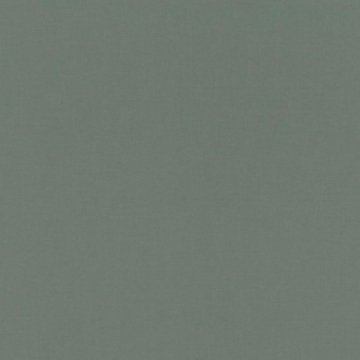 Обои Rasch Salisbury 552751