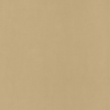 Обои Caselio Pretty Lili 55421412