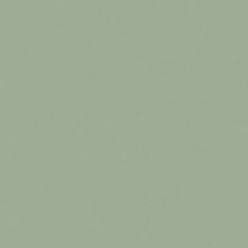 Обои Erismann RU Bolero 60009-14