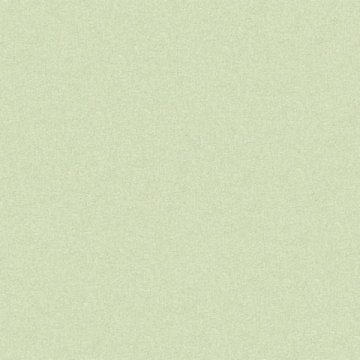Обои Erismann RU Siena 60040-06