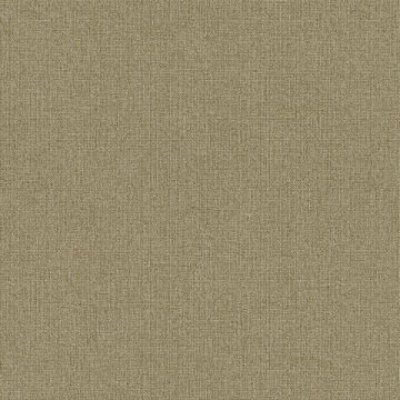 Обои Erismann RU Bolero 60062-06