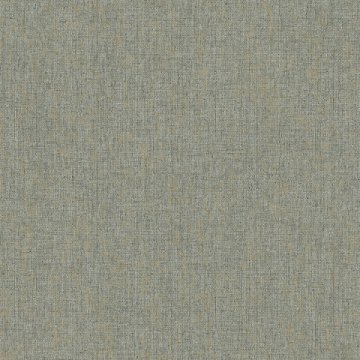 Обои Erismann RU Bolero 60165-06
