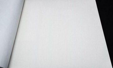 Обои Rasch Barbara XL 800517