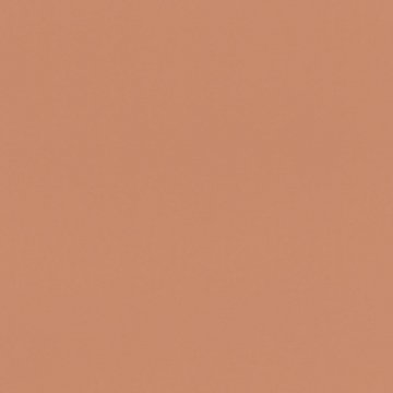 Обои Rasch Salsa 807608