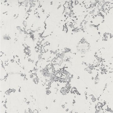 Обои Casadeco Rivage 83981211