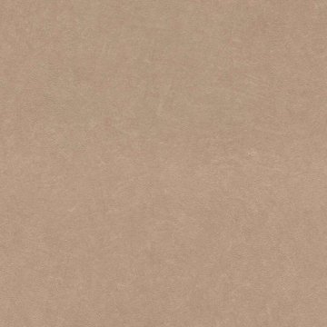 Обои Rasch Barbara 2 860146