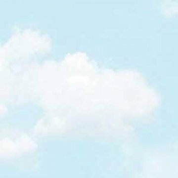 Обои Shinhan Wallcoverings Natural 2 88421-1