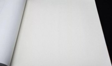 Обои Rasch Maximum 16 960747