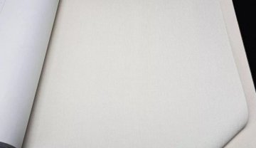 Обои Rasch Maximum 16 960754