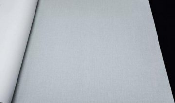 Обои Rasch Maximum 16 960792