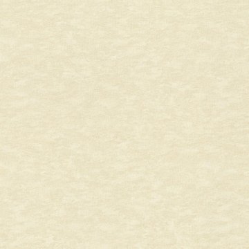 Обои Rasch Filigrano 964813