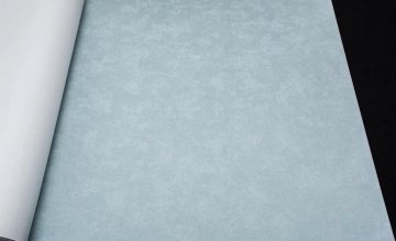 Обои Rasch Magnolia 965049