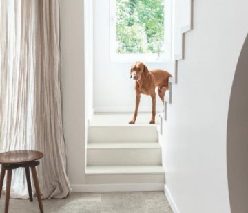 Ламинат Quick-Step Muse Ultra MUU5485 Тёмный голубой камень
