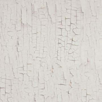 Обои BN Tailor BN 2218020