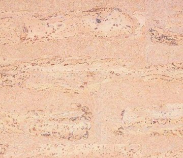 Замковое напольное пробковое покрытие Corkstyle Natural Cork Comprido Creme