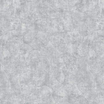 Обои Erismann RU Evolution 60167-05