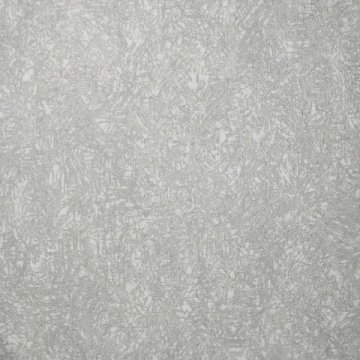 Обои Erismann RU Evolution 60193-02