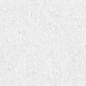 Обои Erismann RU Evolution 60245-05
