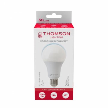 Лампа светодиодная Thomson E27 24W 6500K груша матовая TH-B2353