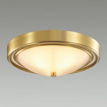 Настенно-потолочный светильник Lumion Vintage Nina 5259/2C