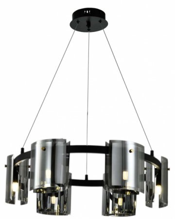 Подвесная люстра Zortes RONY ZRS.1209.06