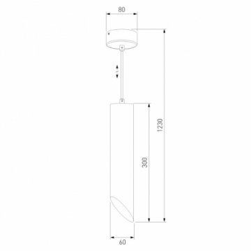 Подвесной светильник Eurosvet 7011 MR16 WH/GD белый/золото