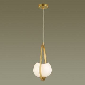Подвесной светильник Odeon Light Modern Waterlily 4873/1