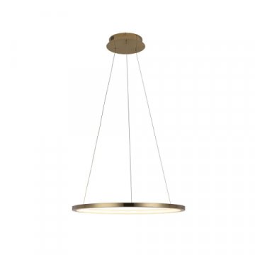 Подвесной светодиодный светильник Loft IT Ring 10014M