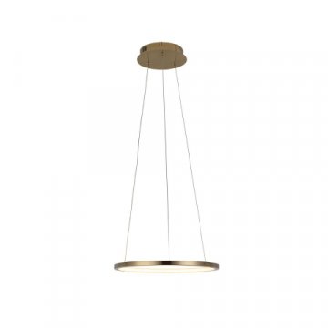 Подвесной светодиодный светильник Loft IT Ring 10014S