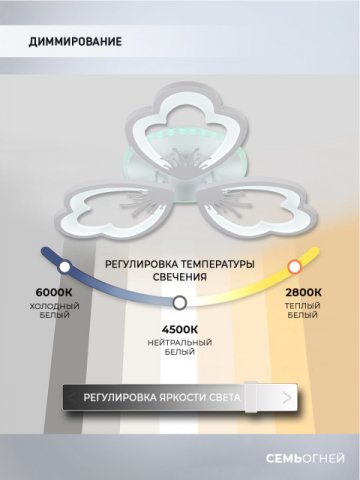 Потолочная светодиодная люстра Seven Fires Ferenk SF5028/3C-WT-RGB