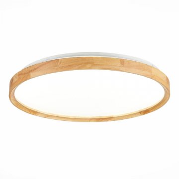 Потолочный сетодиодный светильник Evoluce Delia SLE201382-01