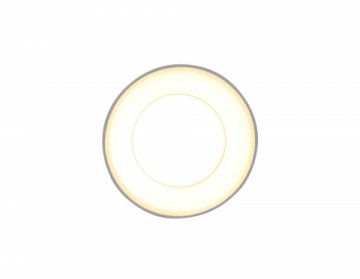 Потолочный светильник Ambrella light Techno TN3411