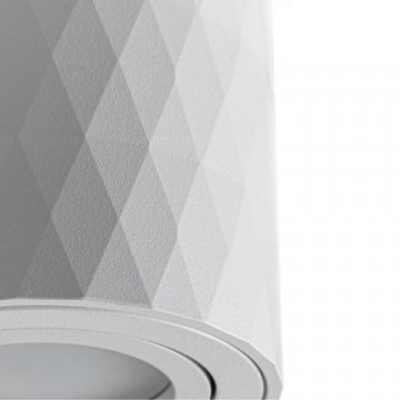 Потолочный светильник Arte Lamp Fang A5559PL-1WH